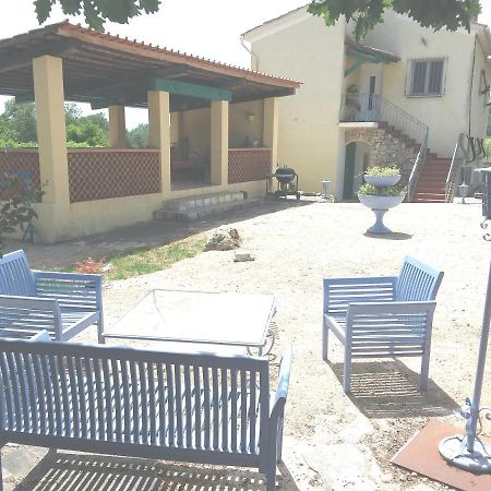 Entre Mer Et Montagne Les Arcs-sur-Argens Экстерьер фото